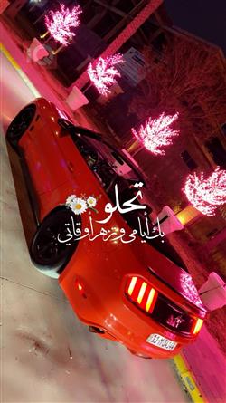 فورد موستانج